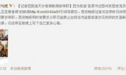 记者会不会爆料新闻事件,记者会幕后，新闻事件背后的真相揭晓